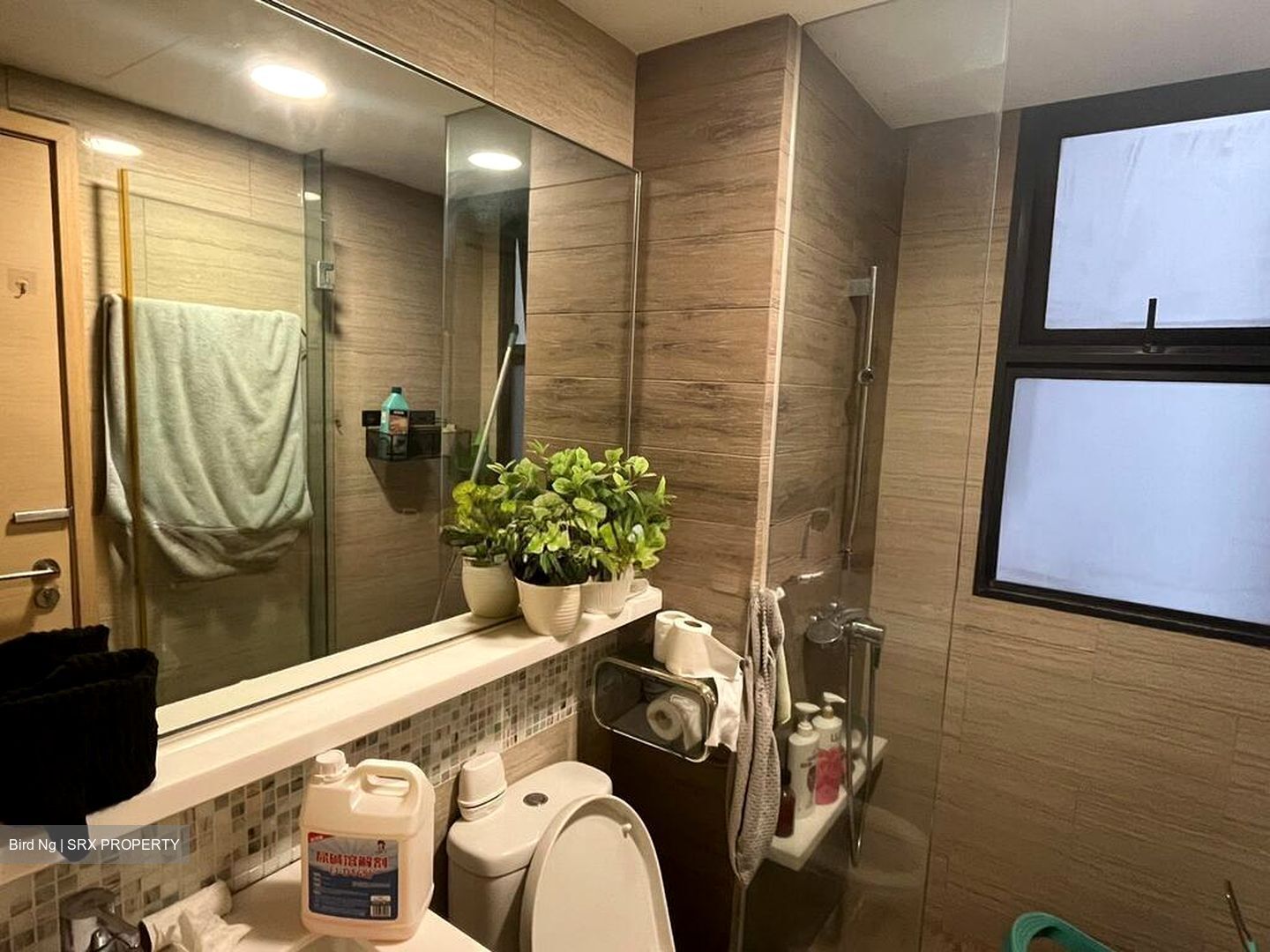 The Rainforest (D23), Condominium #528356731